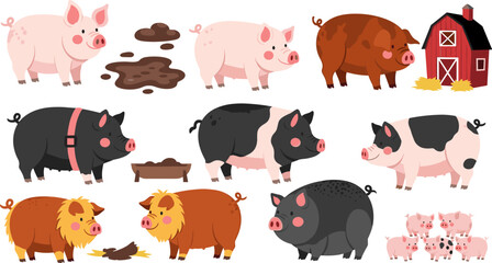Vector Illustration Set of Pigs in Different Breeds, Posing in the Farm with Barn and Mud © Lcpl