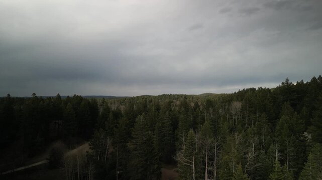 Aerial reveal Lincoln National Forest in Cloudcroft New Mexico with stormy spring skies