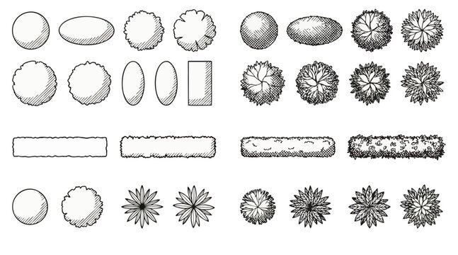 Set of architectural vector illustrations featuring diverse top down tree symbols for landscape design planning and professional site map projects