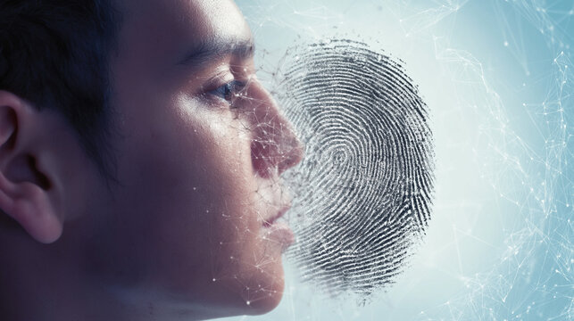 Cutting-edge Biometrics: Modern Identity, Technology, and Security in Digital Portraits