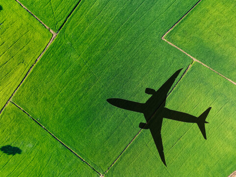 Shadow airplane flying above green field. Sustainable fuel. Biofuel in aviation. Sustainable transportation and eco-friendly flight with biofuel use. Aviation sustainability. Biofuel in air travel.
