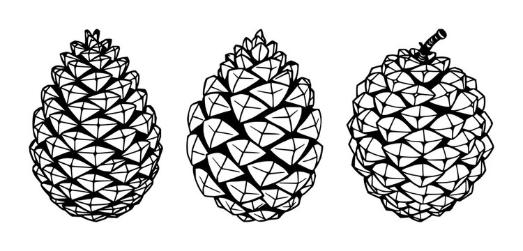 Pinecone set with geometric scales design featuring conical shape, natural element and abstract pattern with autumn and forest motifs
