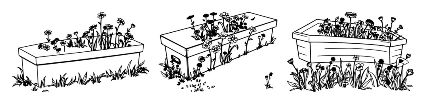 Coffin set with minimalist line art illustration of a coffin topped by growing wildflowers featuring coffins, flowers, line art with white background and botanical.