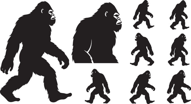 Bigfoot Silhouettes in Various Walking Positions Displayed