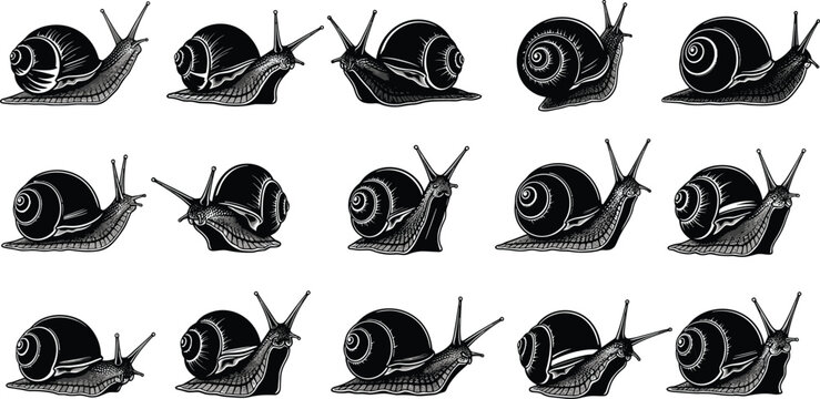 Snail silhouette set, garden mollusk collection, black slug icons, nature wildlife vector, slow animal illustration, gastropod shell, pest control design.