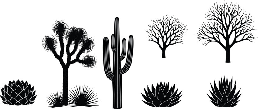 Desert plants silhouette set including saguaro cactus Joshua tree agave and dry leafless trees for western landscape design and nature illustrations