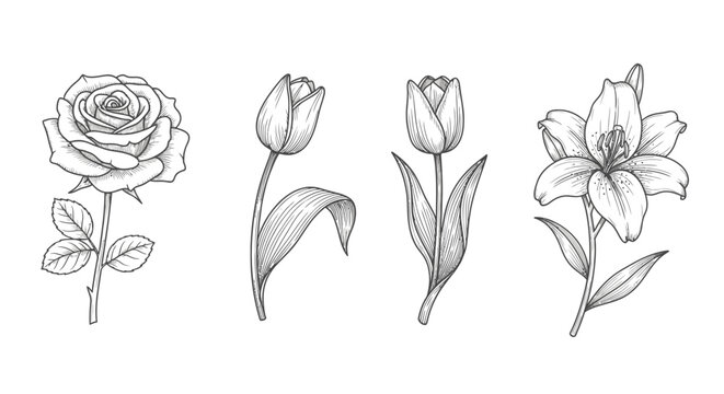 Black and white line drawing flowers.