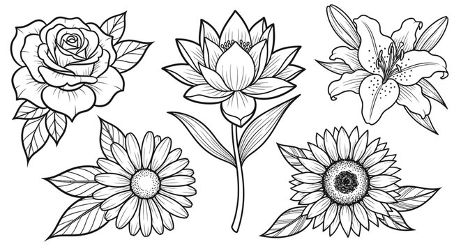 Black and white flowers illustrations set.