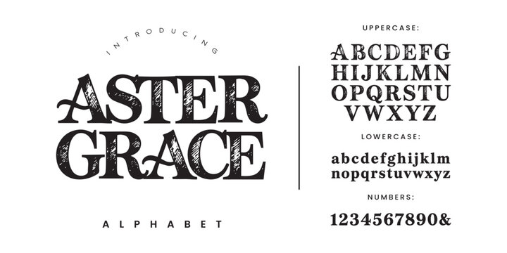 Aster Grace elegant sketched display font with hand drawn pencil texture and vintage artistic style for creative branding and book covers