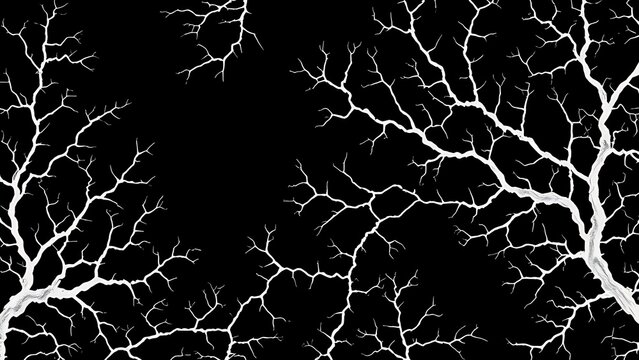 malbec. Abstract fungal mycelium network pattern with white filaments and organic branching on dark background. gardening catalogs, home-decor guides, designed for gardening and botanical catalogs.