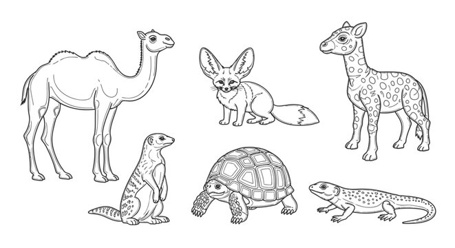 Desert animals group including camel.