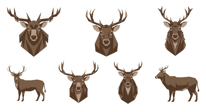 Deer Heads and Body Mounted Display.