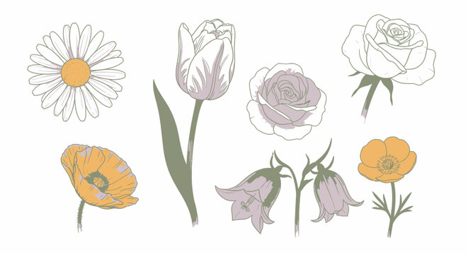 Collection of Various Flower Types 2.