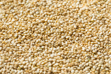 Fototapeta premium Organic Raw Dry White Qunoa Grain