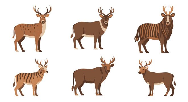 Sitatunga Antelope Mammals Wildlife Animals.