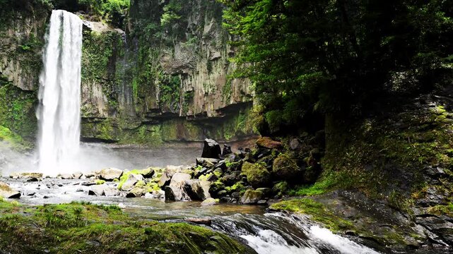 その一筋が、森の魂となる。
「五老ヶ滝。断崖から一直線に落ちる白い滝と、光差す深緑の森が織りなす絶景」
山都町(五老ヶ滝)
That single stream becomes the soul of the forest.