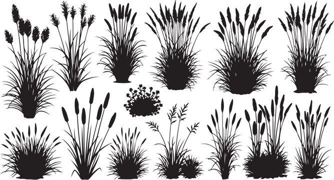 Various cattail and grass silhouettes on white background illustration