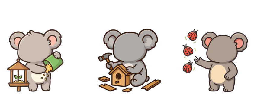 Koala feeding birdseed and building birdhouse