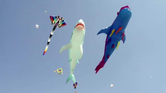 Large shark shaped inflatable kites flying in clear sky with colorful designs during outdoor festival showing creative kite display and activity