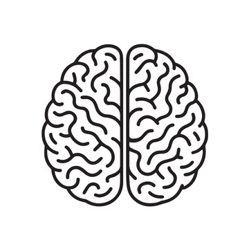 A simple vector art of a human brain in minimalist style, using smooth lines and balanced forms to symbolize learning, thinking, and education with a clean visual approach.