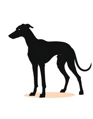 Obraz premium A silhouette illustration of a slender dog, likely a breed known for its speed, facing left, against a white background. Its stance is alert