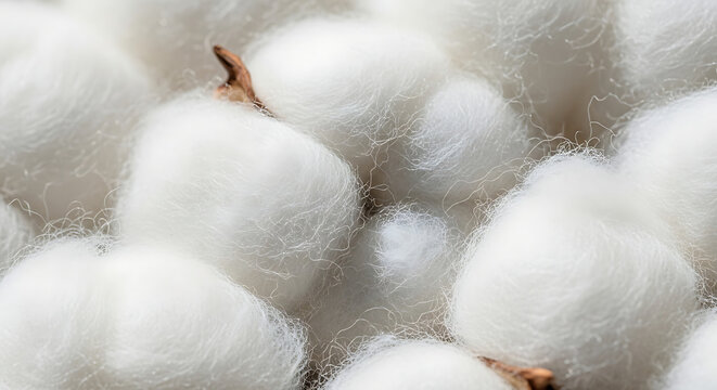 A close-up of a cotton ball