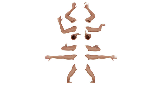 3D model of human arms showing various positions and movements