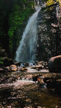 Tropical Waterfall Flowing into Natural Pool in Lush Jungle &ndash; Relaxing Nature Video Background