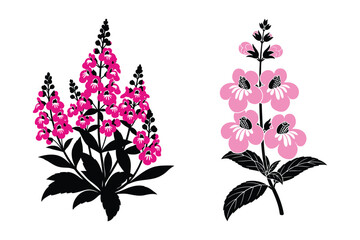 Pink snapdragons and pink foxglove flowers vector illustration with snapdragon © Roney