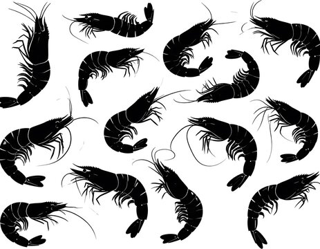 Seamless pattern of black silhouette shrimps, vector background illustration, food design