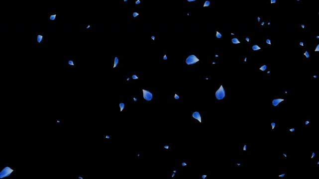 Blue Rose Petals Floating on Transparent Background (Alpha Channel)｜青いバラの花びらが舞い散る アルファチャンネル付き透過素材