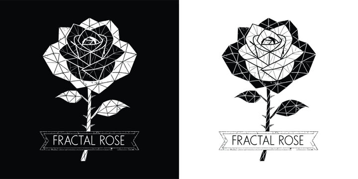 A captivating grunge style fractal rose vector illustration on both black and white backgrounds showcasing geometric floral art with modern aesthetic.