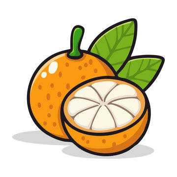 Mandarin oranges with green leaves and a cross section showing juice vesicles for healthy snack branding - Vector Illustration