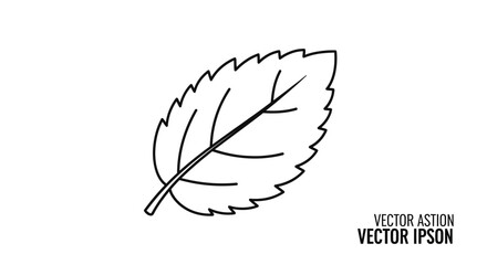 Simple black and white outline vector illustration of a single mint leaf © Konco