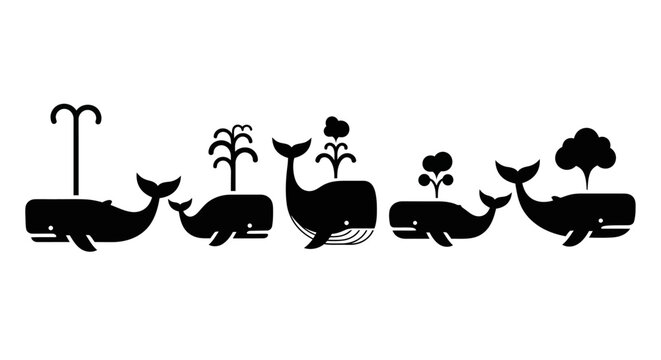 Five black whales with diverse water spouts in a row