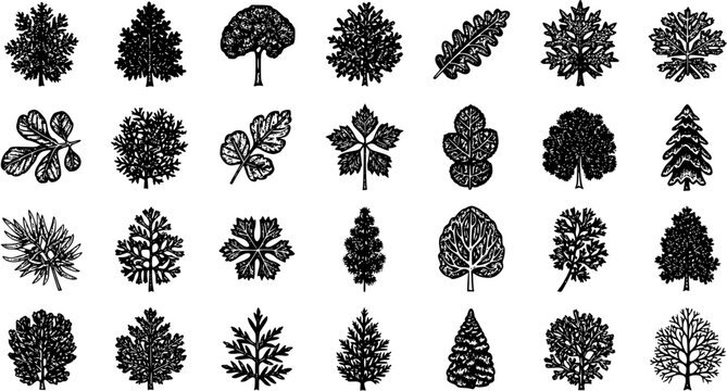 Botanical Tree and Leaf Silhouettes Collection: Black  White Line Art Icons for Nature, Ecology  Landscaping