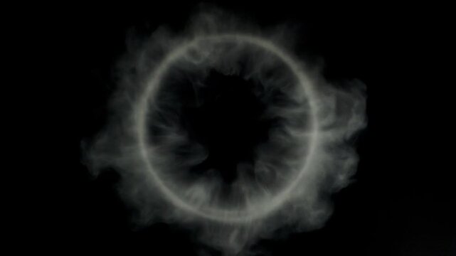 Strategic Stability Witnessing the Hidden Pulse of the Infinite Vortex