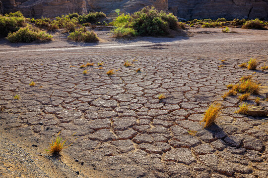 Dried and cracked soil in a desert landscape. Concept of global warming, climate change, and extreme drought.