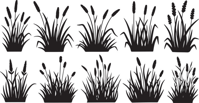 Set of black cattail and grass silhouettes on white background