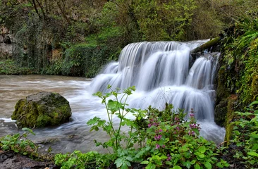 Fotobehang Bos rivier Krushuna Waterfalls  © Nasko