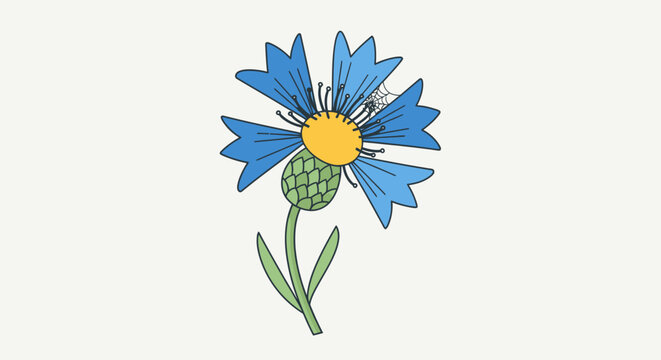 Charming cornflower illustration with delicate spiderweb detail a vibrant blue botanical drawing with intricate yellow center a whimsical floral icon