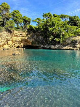 A rocky sea bay surrounded by a pine forest in Montenegro.