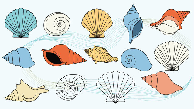 Assortment of colorful seashells of various shapes and species set against a light blue background representing marine life.