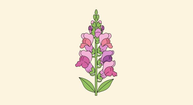 Upward-facing snapdragon flowers in various shades of pink and purple on a light green stem illustration in vector format