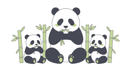 Three cute pandas eating bamboo shoots illustration in cartoon style  a family of adorable bears having a snack surrounded by green bamboo plants © ardi