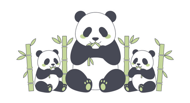 Three cute pandas eating bamboo shoots illustration in cartoon style; a family of adorable bears having a snack surrounded by green bamboo plants