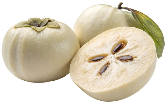 White Sapote on white