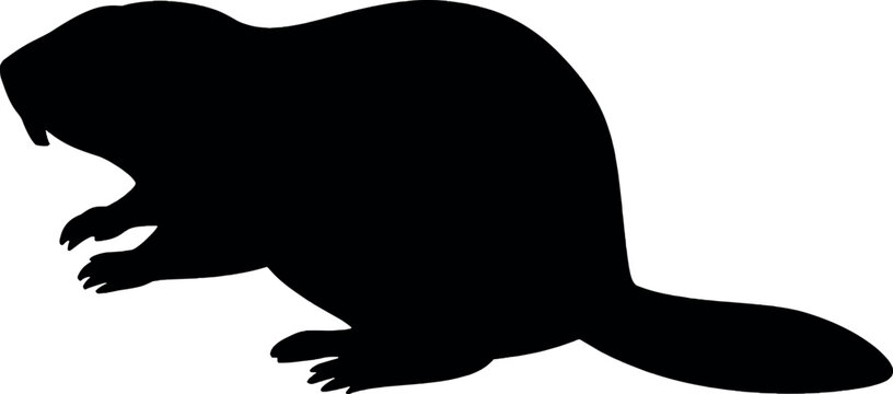 Beaver silhouette minimal black vector illustration for wildlife rodent animal nature habitat dam building and environmental concept use
