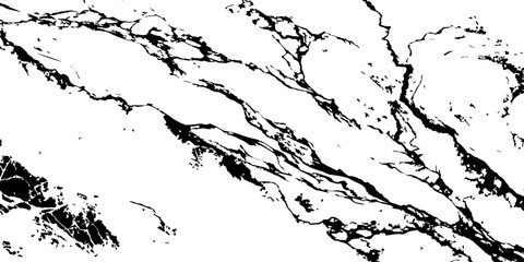 Obraz premium White Marble Texture Background with Bold Black Veins Natural Luxury Stone Pattern.