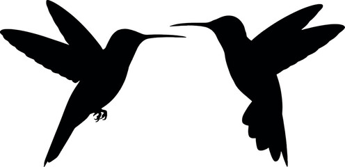  Hummingbird silhouettes pair minimal black vector illustration for wildlife bird flying nectar feeding and nature design concept use © MstAduri